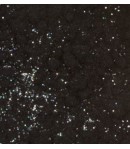 POUDRE FLOCK NOIR GLITTER - 10 ML