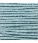 LAINE BABY DREAM MENTHE (010)