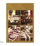 LIVRET RICO BRODERIE 108 WINTER FAIRYTAILE