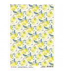 PAPIER DE RIZ LIMONI DI SICILIA 21 X 29.7CM CBRP095