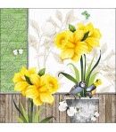 SERVIETTE JONQUILLES