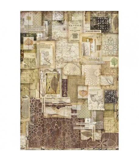 PAPIER DE RIZ FOREST FRAMES A3 29.7 X 41.9 DFSA3051