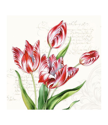 SERVIETTE TULIPES