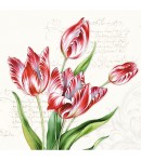 SERVIETTE TULIPES
