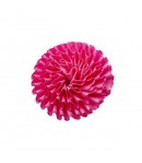 FLEUR EN TISSU - FUCHSIA
