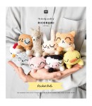 LIVRET RICORUMI POCKET PALS