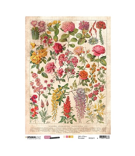 PAPIER DE RIZ A4 FOUGERE 21 X 29.7 - STUDIOLIGHT