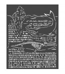 POCHOIR BALEINE 20X25 EP 0.25 KSTD056 STAMPERIA