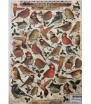 FEUILLE 3D OISEAUX VINTAGE