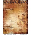 PAPIER DE RIZ IL DIARO SEGRETO 22 X 32CM CBR035
