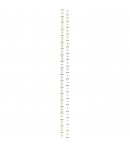 MASKING TAPE JOURS ET DATES BLANC X10M