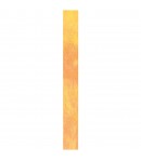 MASKING TAPE ORANGE IRISE X10M