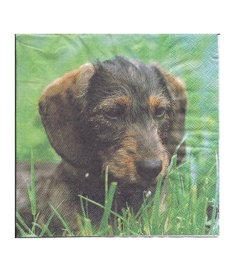 SERVIETTE BEBE TECKEL