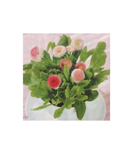 SERVIETTE PAQUERETTES ET NOEUD