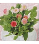 SERVIETTE PAQUERETTES ET NOEUD