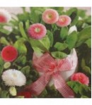 SERVIETTE PAQUERETTES ET NOEUD