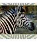SERVIETTE LE ZEBRE 