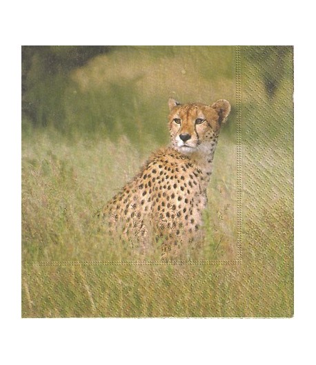SERVIETTE LES GUEPARDS DANS LA BROUSSE