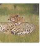 SERVIETTE LES GUEPARDS DANS LA BROUSSE