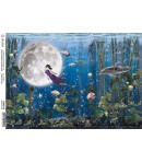 PAPIER DE RIZ MOON AND ME UPSIDE DOWN 21 X 29.7CM CBRP138