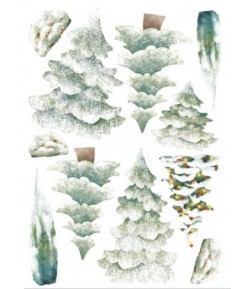 FORMES BOIS SAPINS A5