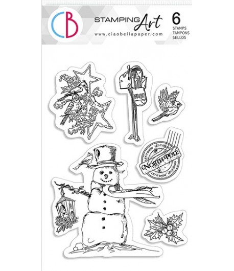 TAMPONS TRANSPARENTS NORTHERN LIGHTS PS6030