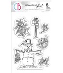 TAMPONS TRANSPARENTS NORTHERN LIGHTS PS6030