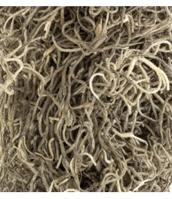 MOUSSE NATUREL  20 GR