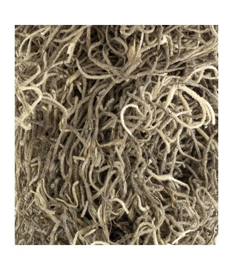 MOUSSE NATUREL  20 GR