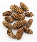 CONES D'EPINETTES 5-9 CM - 130 GR