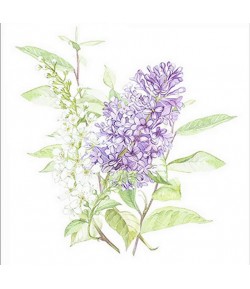 SERVIETTE LILAS