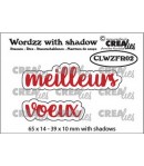 DIES MEILLEURS VOEUX