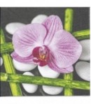 SERVIETTE ZEN L'ORCHIDEE