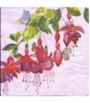 SERVIETTE FUSCHIAS ROSES