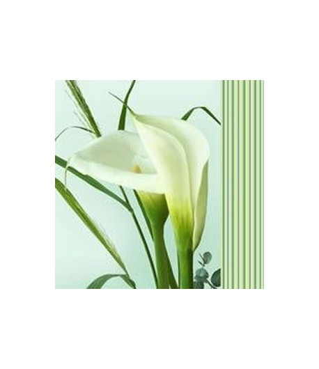 SERVIETTE GRANDS ARUMS