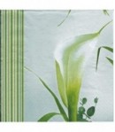 SERVIETTE GRANDS ARUMS