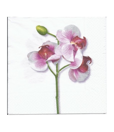 SERVIETTE TIGE ORCHIDEES
