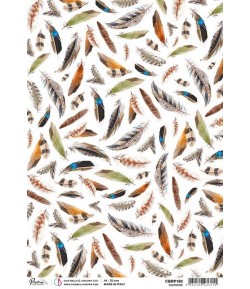 PAPIER DE RIZ A4 FEATHERS 21 X 29.7CM CBRP160