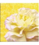 SERVIETTE LA ROSE FOND JAUNE