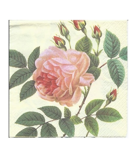 SERVIETTE ROSE ANCIENNE