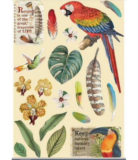 FORMES EN BOIS A5 AMAZONIA PERROQUET - KLSP095 STAMPERIA