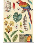 FORMES EN BOIS A5 AMAZONIA PERROQUET - KLSP095 STAMPERIA