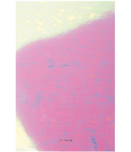 BLOC NOTE A5 IRIDESCENT 14.8X21CM