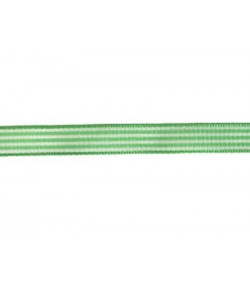 RUBAN RAYURES VERT 10MM - 1 M