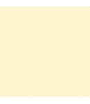 ALLEGRO KAL51 59ML SABBIA D'ORO STAMPERIA