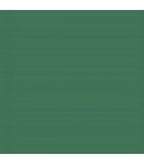 ALLEGRO KAL100 59ML VERDE SIEPE STAMPERIA