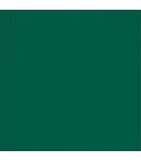 ALLEGRO KAL29 59ML VERDE SCURO STAMPERIA