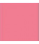 ALLEGRO KAL127 59ML NINFEA STAMPERIA