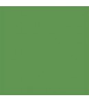 ALLEGRO KAL46 59ML VERDE FOGLIA STAMPERIA