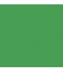 ALLEGRO KAL30 59ML VERDE NATURA STAMPERIA